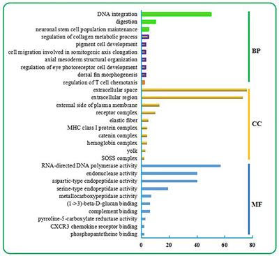 Investigation of the Molecular Mechanisms of Antioxidant Damage and Immune Response Downregulation in Liver of Coilia nasus Under Starvation Stress